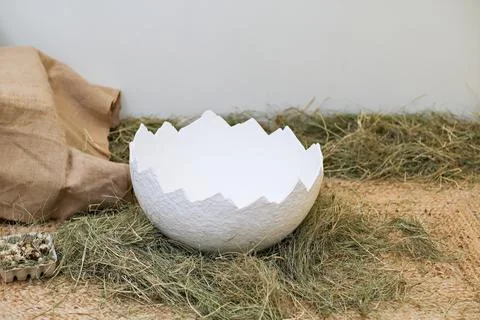 Large cracked white eggshell sitting on dry hay. Decorative bowl for Easter Stock Photos