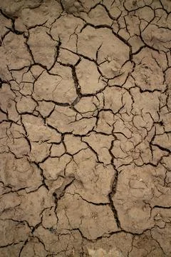 Large cracks in the ground. Abstract lines. Beautiful background. Nature. Stock Photos
