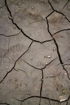 Large cracks in the ground. Abstract lines. Beautiful background. Nature. Stock Photos
