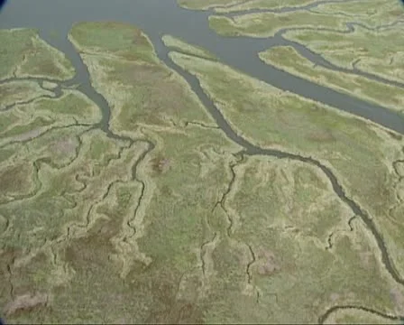 Large creeks in Drowned Land of Saeftinghe in Dutch Scheldt delta Stock Footage