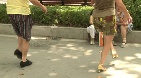 Large crow dancing under trees 9 Stock Footage 37705256