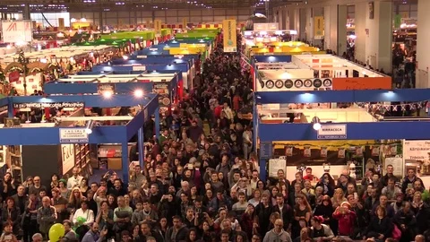 Large Crowd Of Busy exhibition time lapse Stock Footage 71618632