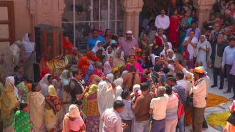 Large crowd dancing and celebrating Phoolon Ki Holi in temple courtyard Stock-Footage 341325502