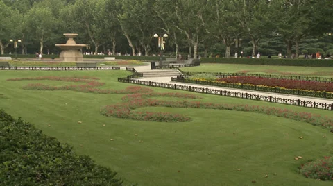 Large crowd dancing under trees 5 Stock Footage 37705006