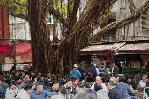 Large Crowd Dining Under Ancient Banyan Tree at Cisheng Temple Dadaocheng Photos