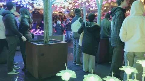 A large crowd enjoying the Winter Light Festival Stock Footage 326866459
