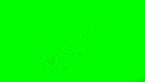 Large crowd of flying birds at top. Chroma Key. Stock Footage 87463664