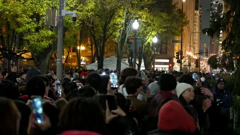 Large crowd gathers at night in a park to watch a public event. People stand Stock-Footage 321715736