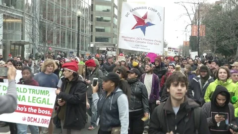 Large Crowd Marches Pro-Marijuana Inaugural Protest Video stock 71807609