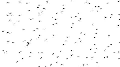 Large crowd of people moving randomly Stock Footage 83434123