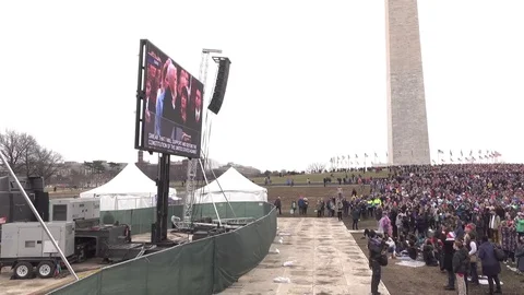Large Crowd of people watching Inauguration on TV at Washington Monument 4k 库存影片 75651064
