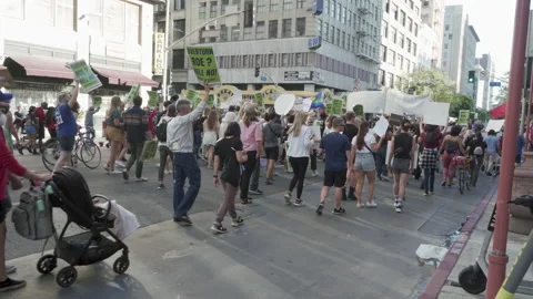 Large Crowd Of Pro-Choice Protesters Marching Stock Footage 220351934