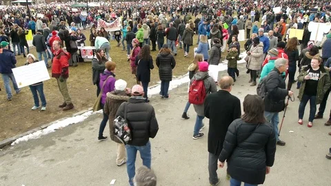 Large Crowd of Protesters Boston Common Video stock 87637951