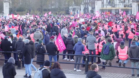 Large crowd of protesters at Buckingham Palace Stockbeeldmateriaal 225910895
