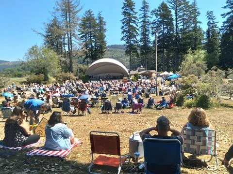 Large crowd waits eagerly for a live concert in the park under sunny skies Photos
