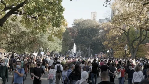 Large Crowd at Washington Square Park for Biden 2020 presidential Election Stock Footage 142723972