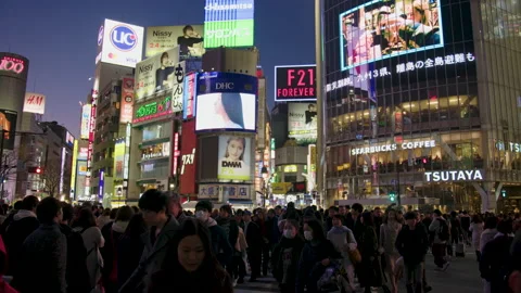 Large Crowds Cross Pedestrian Crossing Dusk Shibuya Tokyo Timelapse Stock Footage 239662273