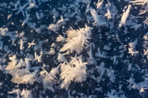 Large crystals of snow Stock Photos