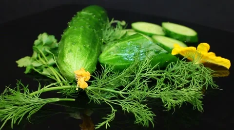 Large cucumber in the studio . Rotation. Black background. Yellow flowers Video stock 61459589