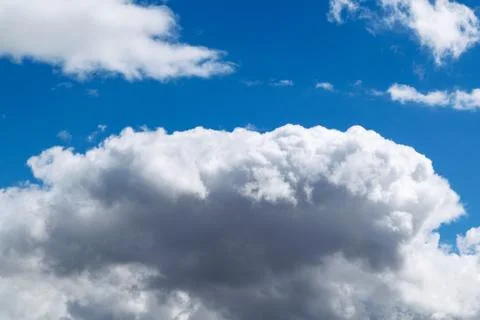 A large Cumulus cloud in the blue sky. In the top left corner flies a gull. Stock Photos