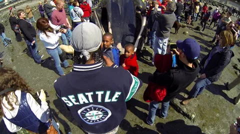 Large curious crowd looks at dead beached whale Stock Footage 62841356