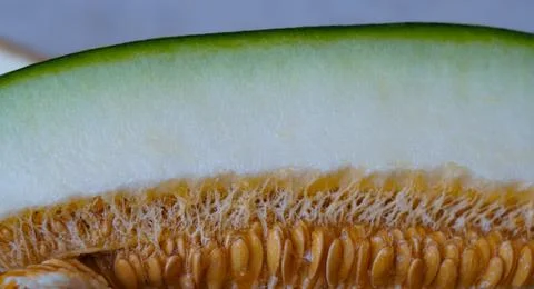 Large cut melon seeds Stock Photos