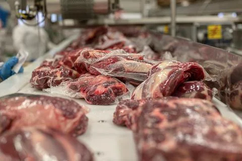 Large cuts of beef packed in a vacuum plastic bag. Stock Photos
