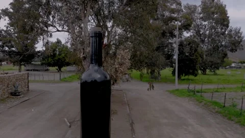 Large Dark Bottle in Traditional Mexican Courtyard with Agave Plants and Stone Stock Footage 345384407