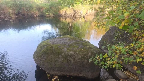 Large Dark Mossy Boulder Sitting In Calm River Water Near Bank Stock Footage 348028509