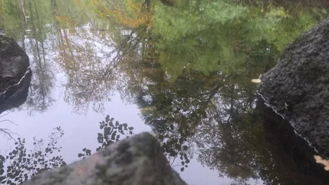 Large Dark Rocks In Foreground Of Calm River Reflecting The Woods Stock Footage 348062970