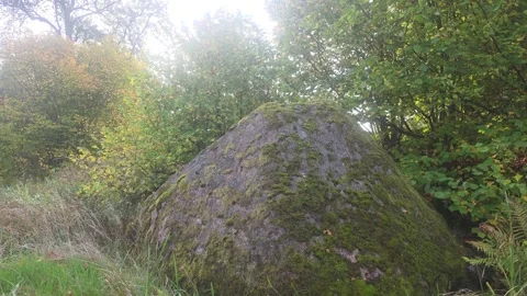 Large Dark Stone Boulder Sitting In Deep Forest Shadow Stock Footage 348033787