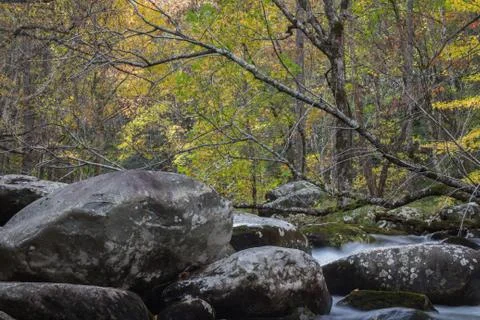 Large deadfall tree top across a stream with large rocks Stock Photos