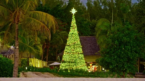 A large decorated illuminated Christmas tree on the ocean shore among palm trees Stock Footage 342878357