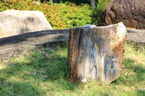 Large decorative stone at the park it beautiful and natural. Stock Photos