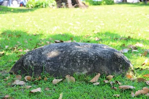 Large decorative stone at the park it beautiful and natural. Stock Photos