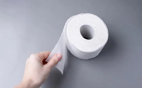 Large details of one clean roll of toilet paper lie on a gray background Stock Photos