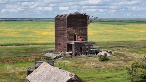 Large, dilapidated grain elevator sits in a field of yellow flowers Stock Footage 313810577