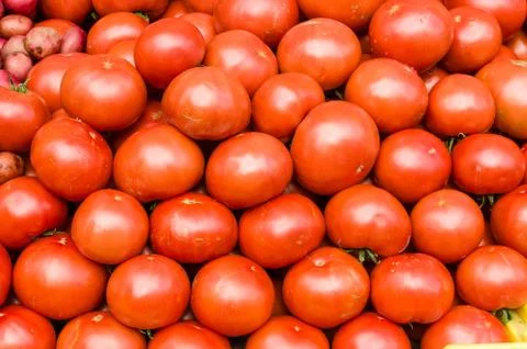 Large display of red tomatoes Stock Photos