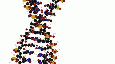 Large DNA Strand spinning on white background - loop 스톡 동영상 18974788