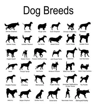 Large dog breed set collection vector silhouette illustration isolated Stock Illustration