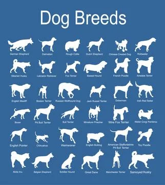 Large dog breed set collection vector silhouette illustration isolated Stock Illustration