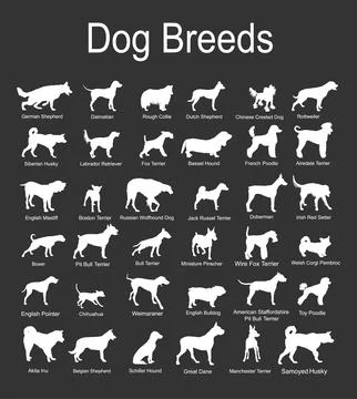 Large dog breed set collection vector silhouette illustration isolated on black Stock Illustration