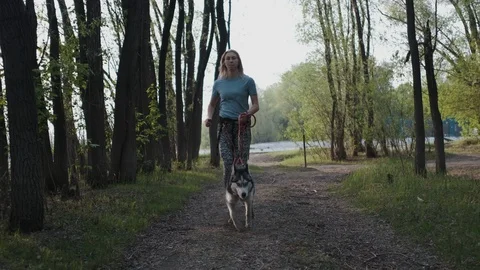 Large dog pulls his mistress for run in spring forest, girl runs along a path Stock Footage 115945666