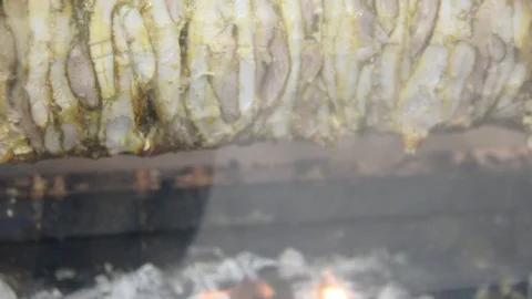 Large Doner skewer spinning over coals in a local restaurant. shawarma drill spi Stock Footage 102196314