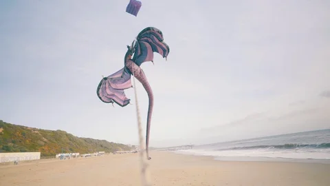 Large Dragon kite flying on a beach with waves Stock Footage 101282536