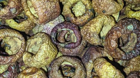 Large dried apples close up Stock Photos