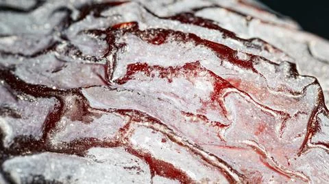 Large dried dates, texture, macro shot with blurred background Stock Photos