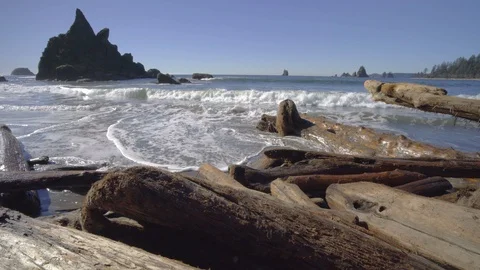 Large driftwood in waves Stock Footage 87439511