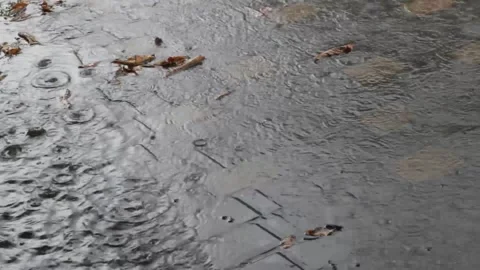 Large drops of heavy rain fall on wet asphalt with puddles Stock Footage 159656984