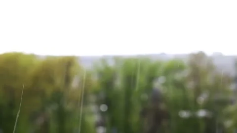 Large drops of rain and hail against the background of the forest and sky in Stock-Footage 289524180